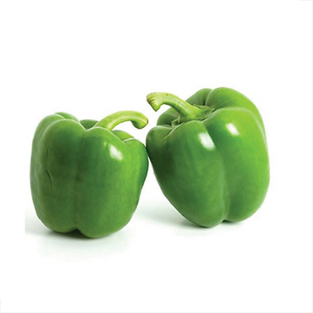 Capsicum