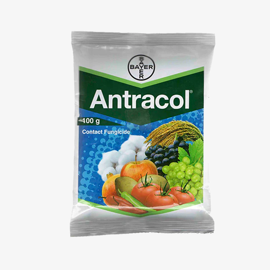 Bayer Antracol Fungicide